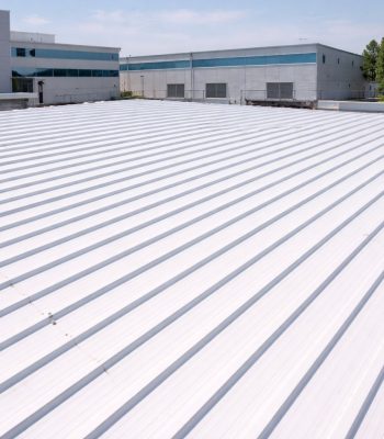 פאנל מבודד גג